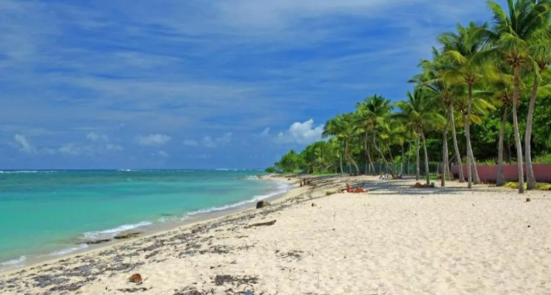 Maison Tout Confort Au Moule, Proche De La Mer location